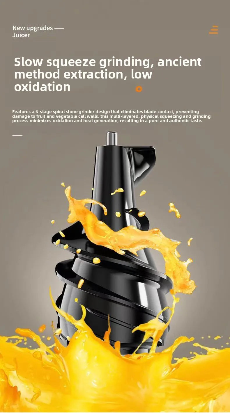 2L Stainless Slow Juicer