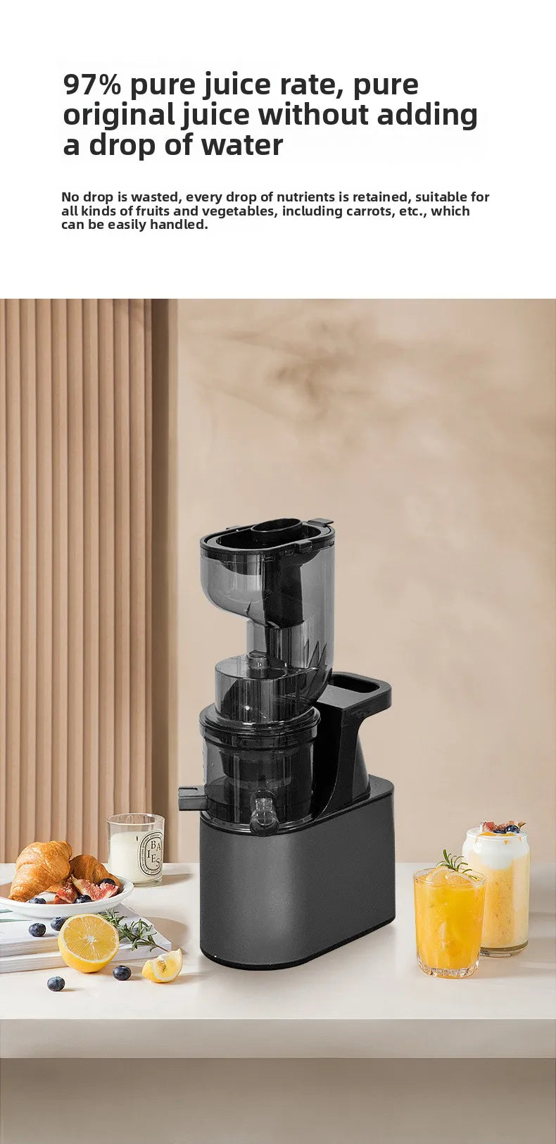 2L Stainless Slow Juicer