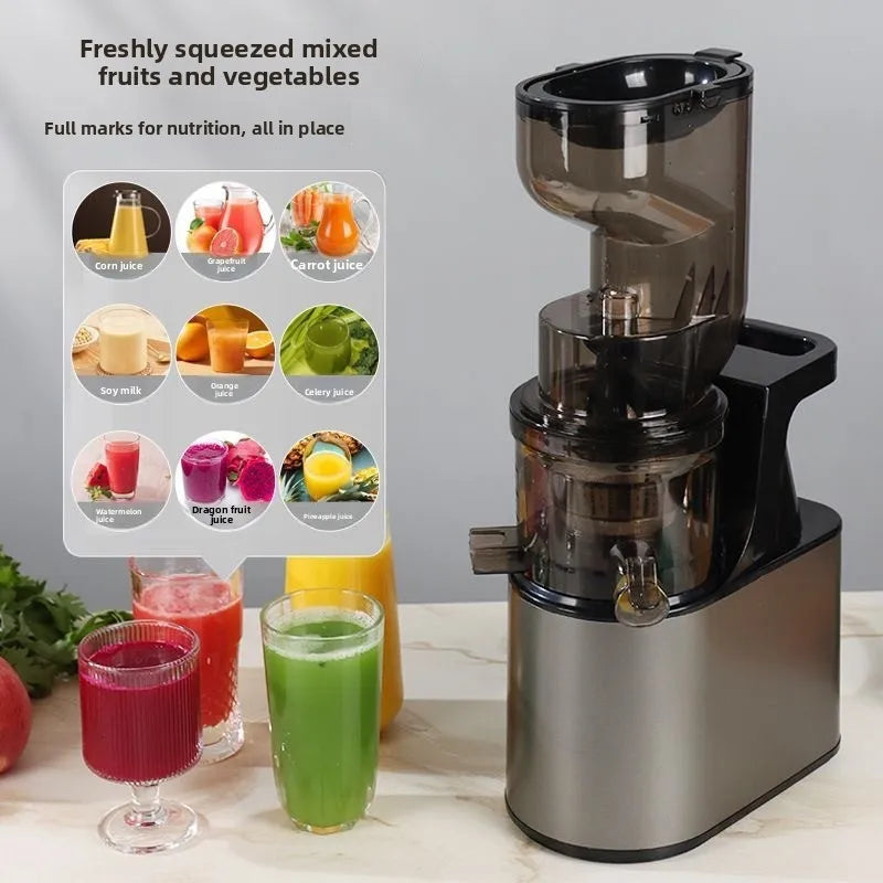 2L Stainless Slow Juicer
