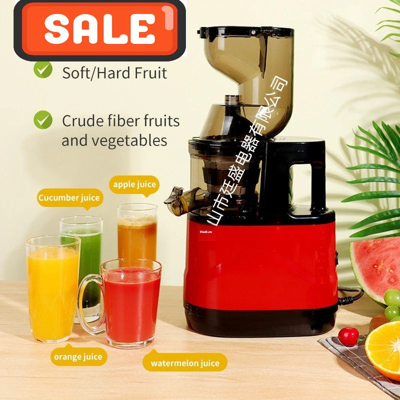 2L Stainless Slow Juicer
