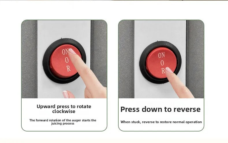 2L Stainless Slow Juicer