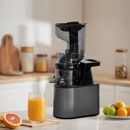 2L Stainless Slow Juicer
