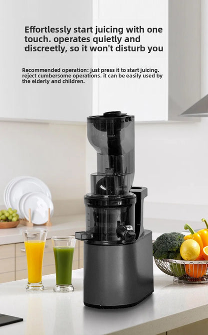 2L Stainless Slow Juicer