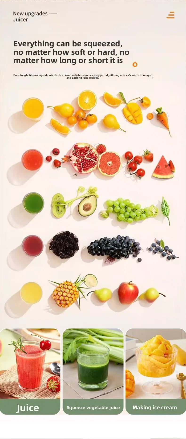 2L Stainless Slow Juicer