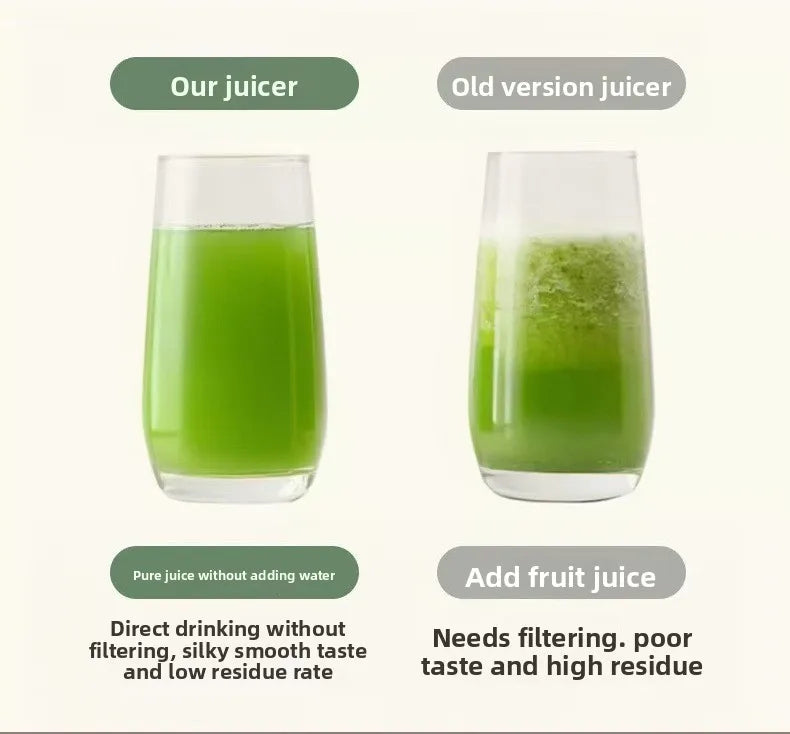 2L Stainless Slow Juicer