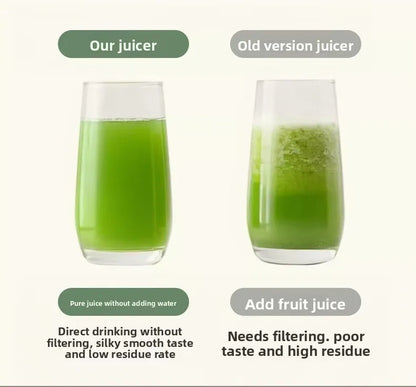 2L Stainless Slow Juicer