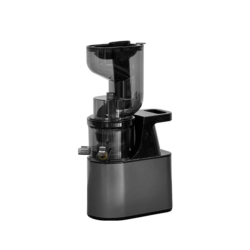 2L Stainless Slow Juicer