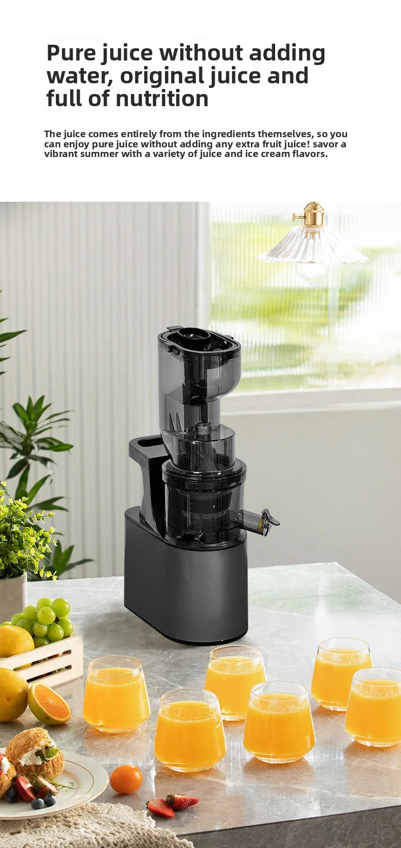 2L Stainless Slow Juicer