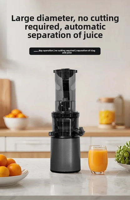 2L Stainless Slow Juicer